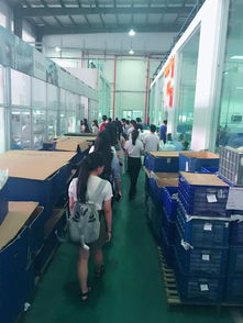 廈門軟件學院經濟管理系 融合創新，培育廈門軟件開發新人才